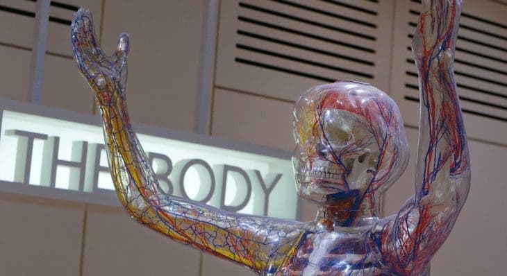 Clinical Endocannabinoid Deficiency